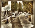 /album/fotogaleria/hdr-cementerio-tonemapped-bajaresolucion-2-jpg/